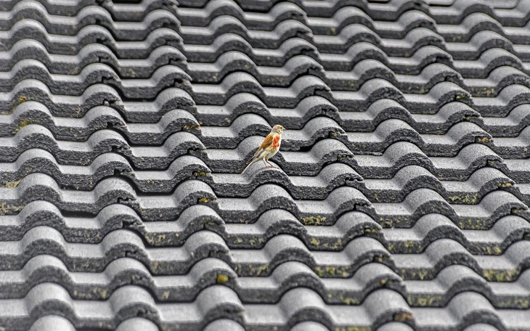 Vad ingår i priset för takläggning?