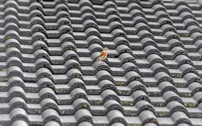 Vad ingår i priset för takläggning?