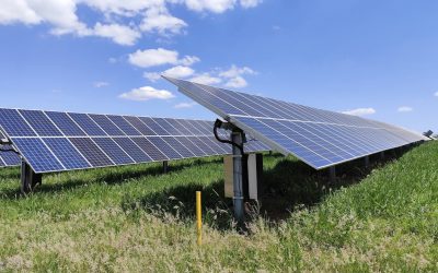 Är solceller en lönsam investering för företag?